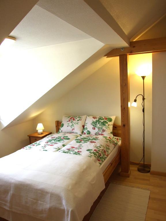 Sunlit Loft Apartment Ryga Zewnętrze zdjęcie